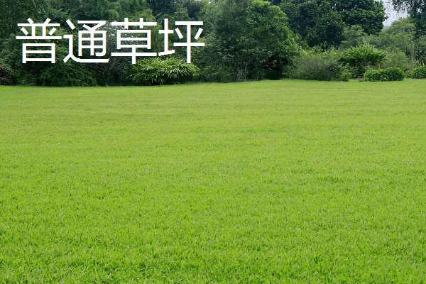 一斤草籽可以种多少面积，可以播种30-40平方米
