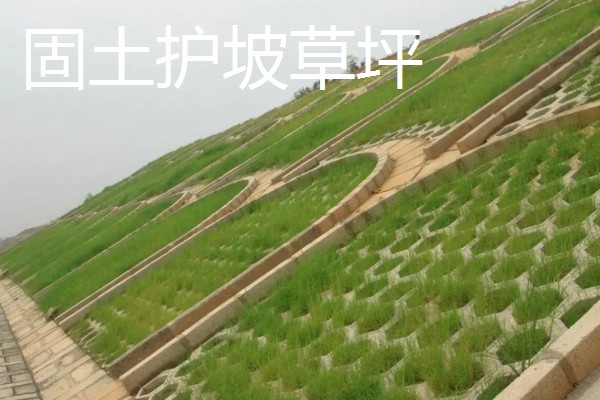 一斤草籽可以种多少面积，可以播种30-40平方米