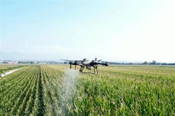 乙烯利的用法,针对不同作物的使用方法不同