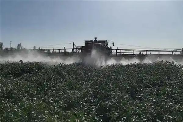 乙烯利的用法,针对不同作物的使用方法不同