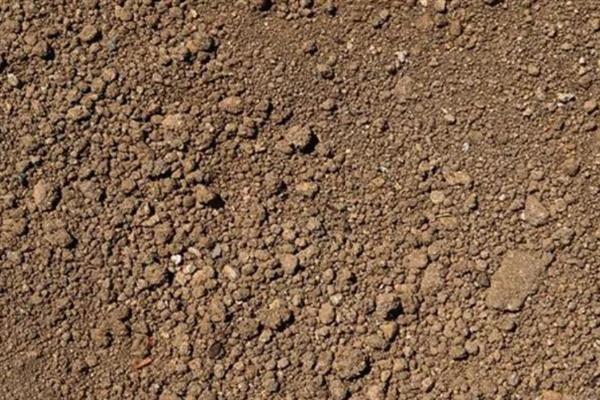 如何养殖多肉钱串子，平时每隔4-7天浇一次水