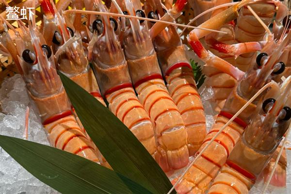 鳌虾与牡丹虾哪个贵，鳌虾更贵一些