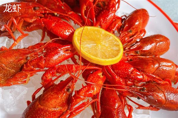 鳌虾与牡丹虾哪个贵，鳌虾更贵一些