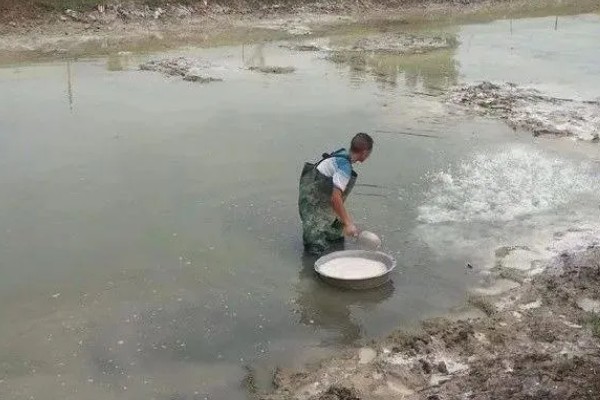 螃蟹的养殖方法，蟹苗适应水温后再进行放养