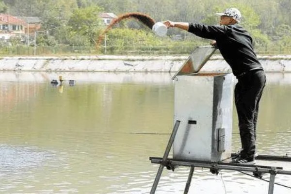 螃蟹的养殖方法，蟹苗适应水温后再进行放养