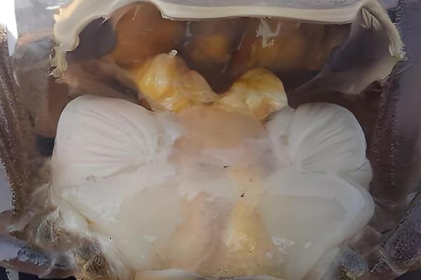 河蟹的常见病害及防治方法,常见的有颤抖病、肠炎病等