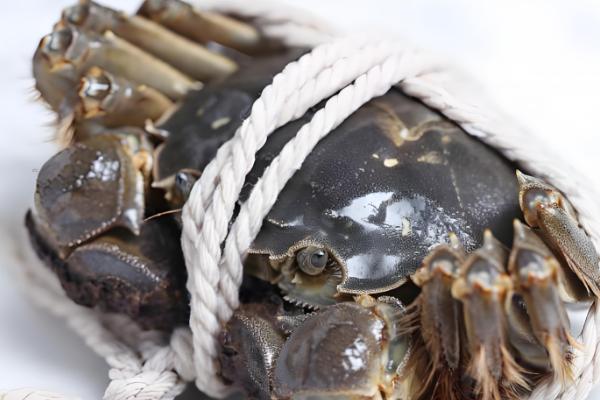 河蟹的常见病害及防治方法,常见的有颤抖病、肠炎病等