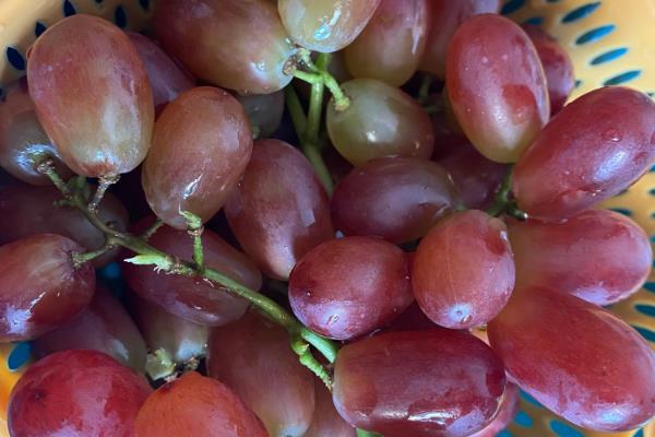 提子一天吃多少合适,成年人每天以150-200g为宜