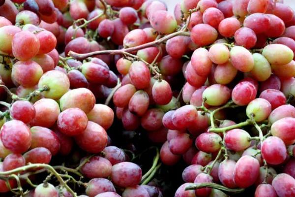 提子一天吃多少合适,成年人每天以150-200g为宜