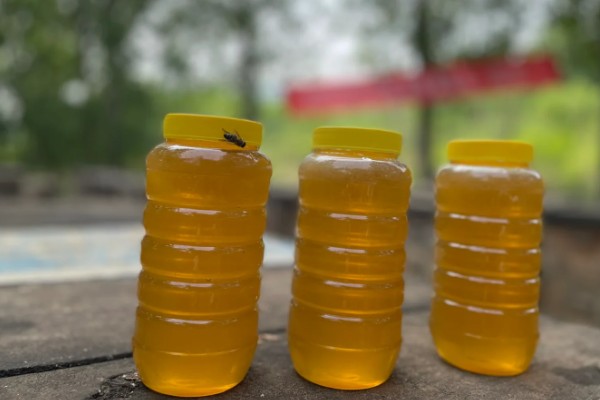 冬天是喝槐花蜜还是枣花蜜,推荐枣花蜜