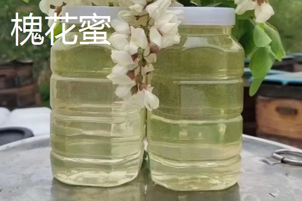 冬天是喝槐花蜜还是枣花蜜,推荐枣花蜜