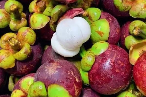 5月份吃什么水果，可以吃芒果、山竹等