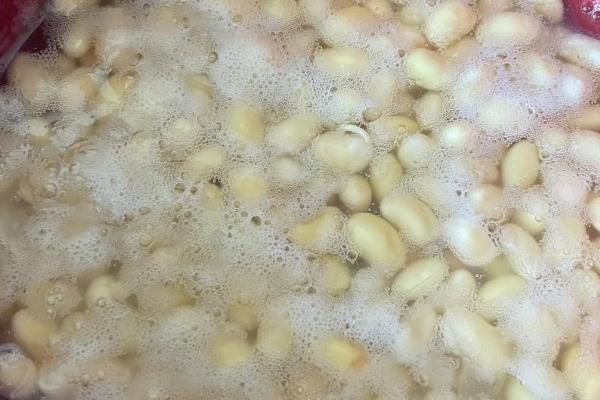 有哪些自带香气的盆栽植物,推荐茉莉花、米兰花等