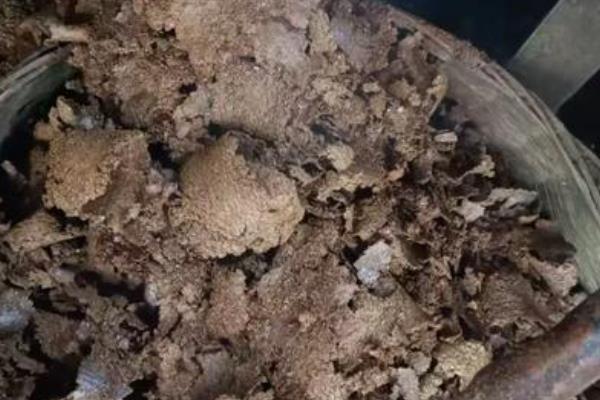 有哪些自带香气的盆栽植物,推荐茉莉花、米兰花等
