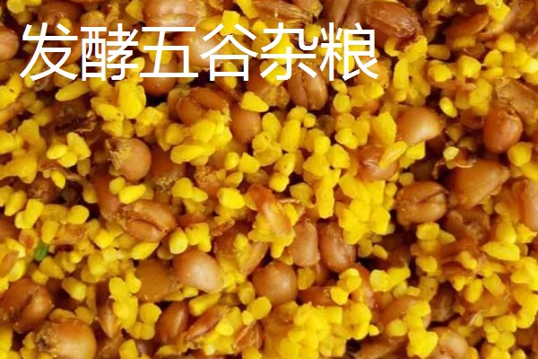 野钓用什么窝料可以快速聚鱼,酒米、麸饼、五谷杂粮等饵料都是适宜选择