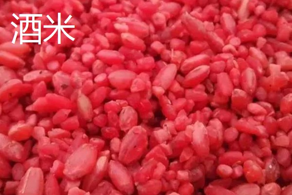 野钓用什么窝料可以快速聚鱼,酒米、麸饼、五谷杂粮等饵料都是适宜选择