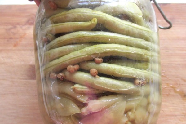 酸豆角如何腌制,先讲豆角清洗干净