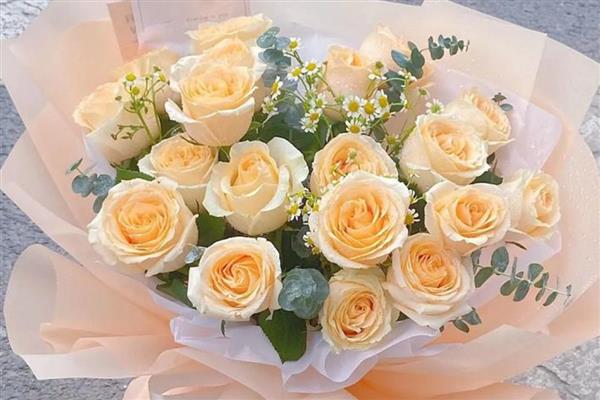 香槟玫瑰有什么花语，代表我只钟情于你等含义