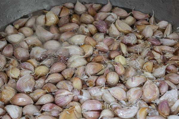 怎样提高大蒜的出苗率，温度控制在18℃左右