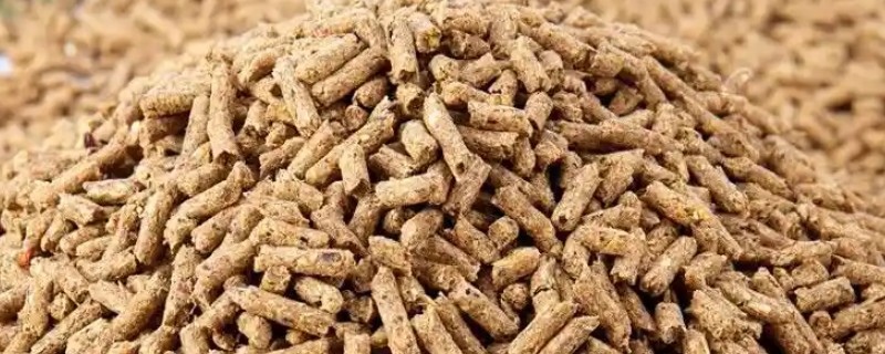 如何自制兔全价饲料，不同生长阶段的饲料配方不同