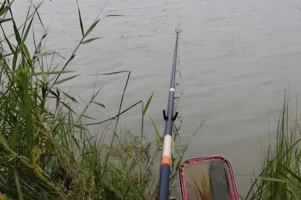 夏天中午是否容易钓鲤鱼,温度较高且光照强烈垂钓效果差