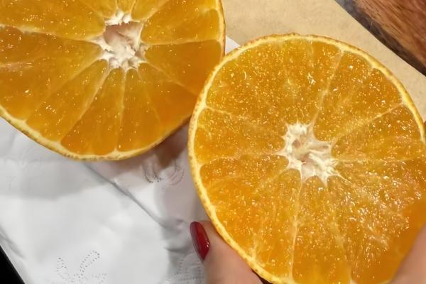 红美人柑橘的种植技术,在幼树期施加四次肥料