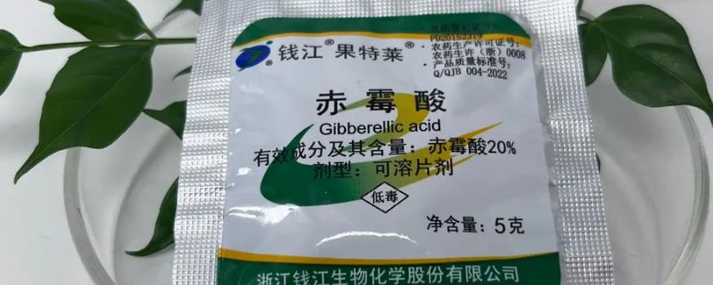 赤霉素有什么作用，可以加快幼苗的生长速度、让籽粒更饱满