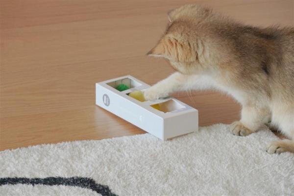 猫咪吓尿了有没有影响，会有一定的影响