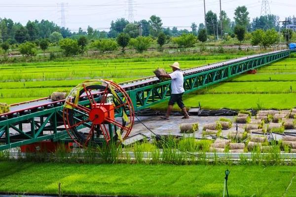 传统农业与现代农业有什么区别，前者主要依靠人力、后者依靠现代科技