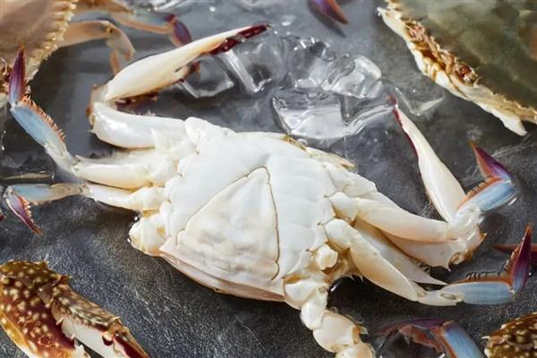 如何挑选梭子蟹，腿脚齐全代表体内营养充足