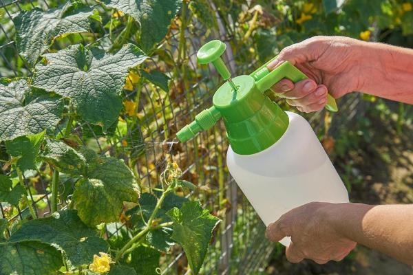 醚菌酯的使用方法,根据防治对象决定用药量