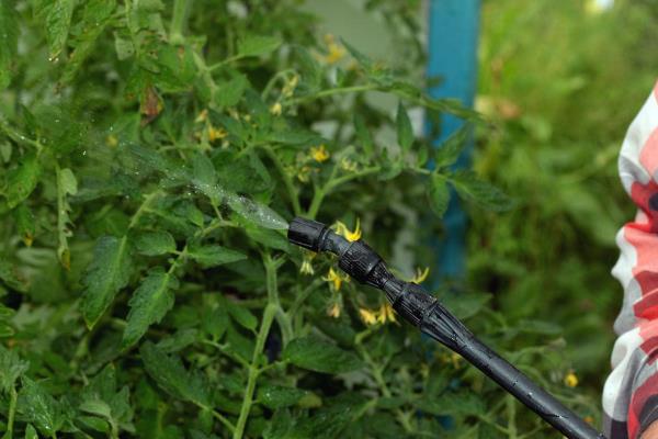 醚菌酯的使用方法,根据防治对象决定用药量