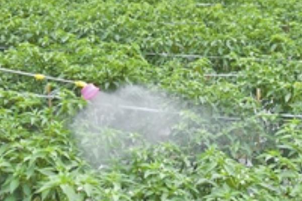 醚菌酯的使用方法,根据防治对象决定用药量