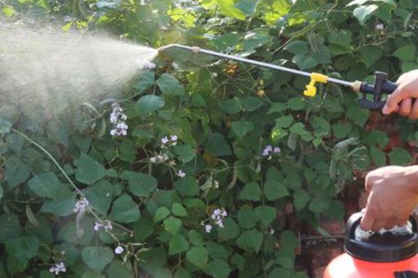 醚菌酯的使用方法,根据防治对象决定用药量