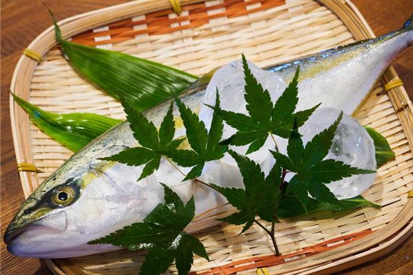 青甘鱼的产地，在日本海及台湾以南海域