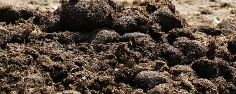 合理施用有机肥的方法，掌握以下4个要点