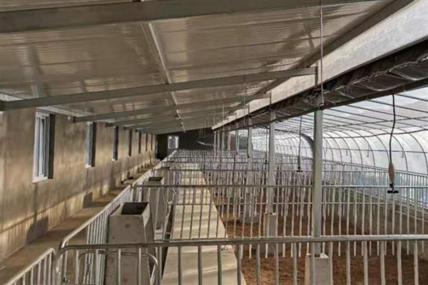 猪舍吊顶用哪种材料隔热保温，彩瓦下面加装气泡镀铝隔热毯