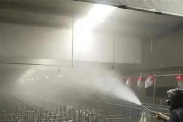 猪舍吊顶用哪种材料隔热保温，彩瓦下面加装气泡镀铝隔热毯