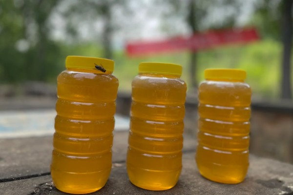 怎么吃枣花蜜,普遍方法是冲蜂蜜水