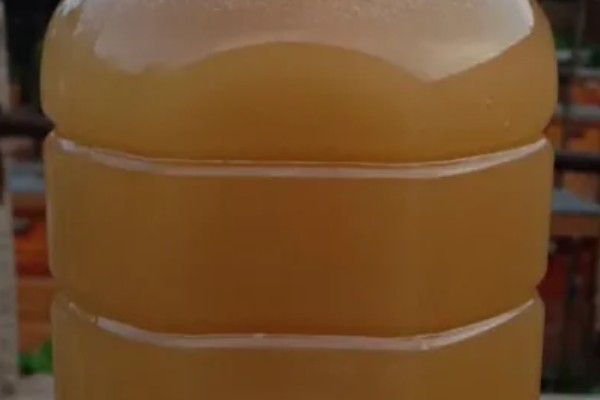 怎么吃枣花蜜,普遍方法是冲蜂蜜水