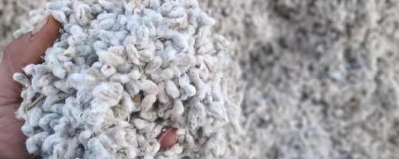 棉籽贮藏的原则，首先要降低含水量