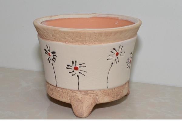 梅花怎么养殖,开花后每隔4-5周追肥一次