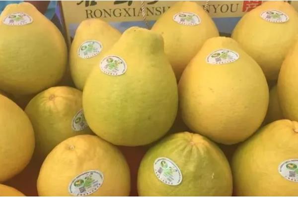 沙田柚有什么品种,主要分为容县沙田柚、梅州沙田柚等4个种类
