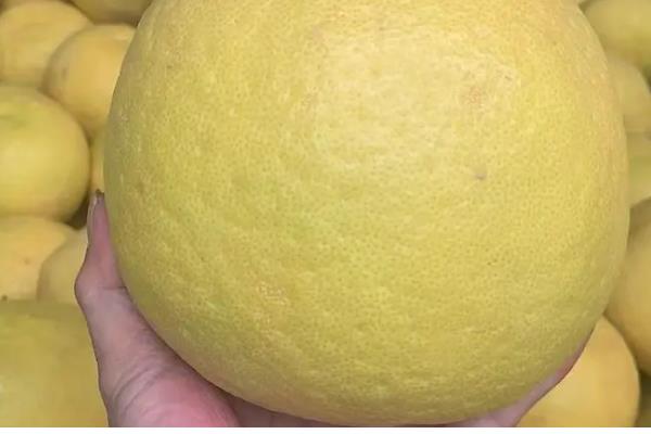 沙田柚有什么品种,主要分为容县沙田柚、梅州沙田柚等4个种类