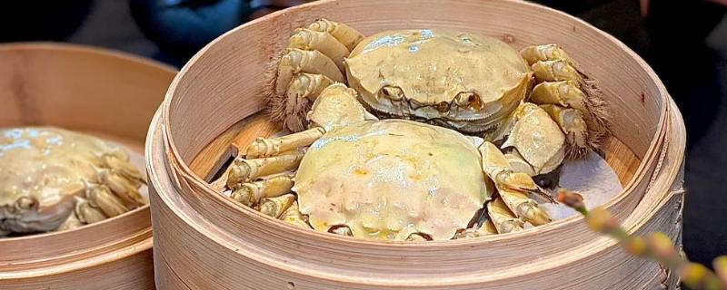 白玉蟹的产地,产自于菲律宾、澳大利亚、印度洋等地