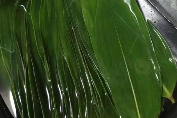 粽子叶成本高吗，粽子叶成本不高