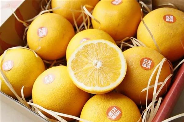 沼山胡柚是哪里的特产,是鄂州地标性特产水果