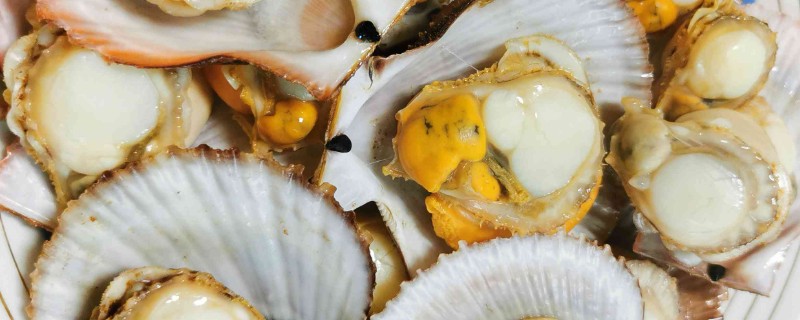 河北昌黎的特产，有昌黎扇贝、昌黎葡萄酒等种类