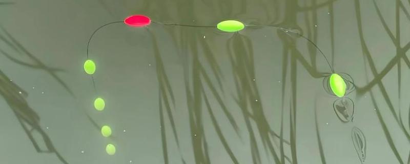 怎么用七星漂逗钓鲤鱼，轻轻将饵料稍微提起来再放下去