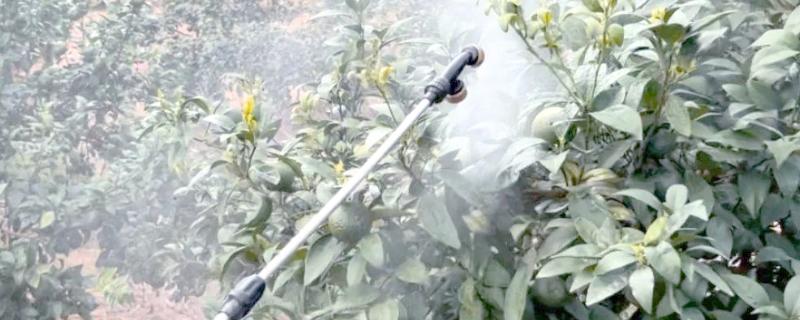 生长调节剂的施用注意事项，注意与栽培措施相结合